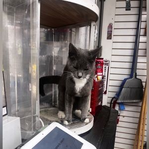 Meet your Posher, Ted